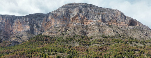 4 Days Trip To Alicante, Spain